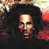 - Natty Dread -